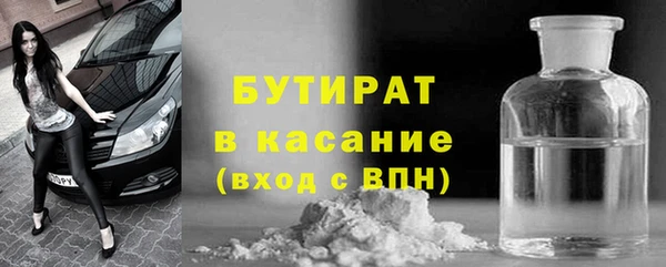 прущие грибы Вязьма
