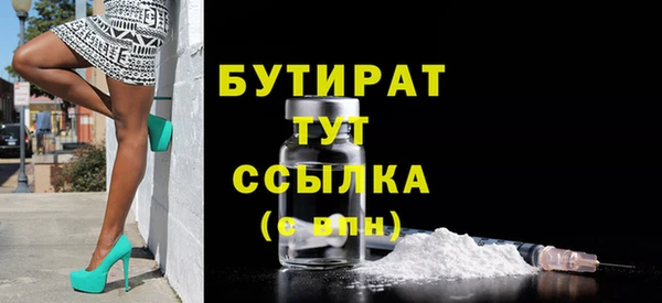 прущие грибы Вязьма