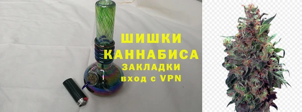 соль ск Вяземский