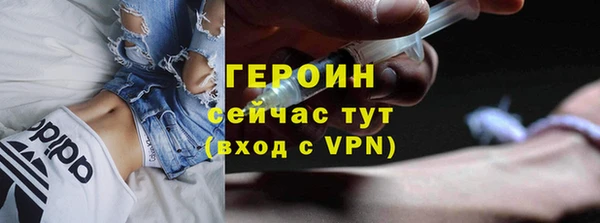 прущие грибы Вязьма