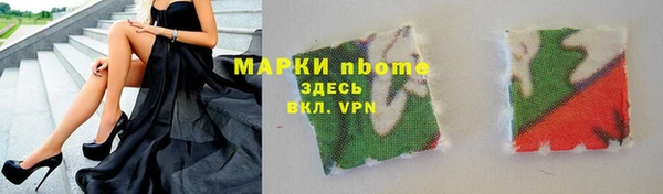 прущие грибы Вязьма