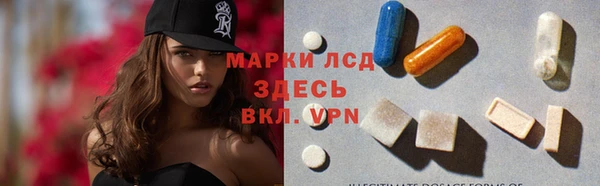 прущие грибы Вязьма