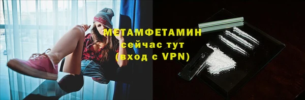 прущие грибы Вязьма