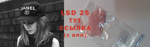 соль ск Вяземский