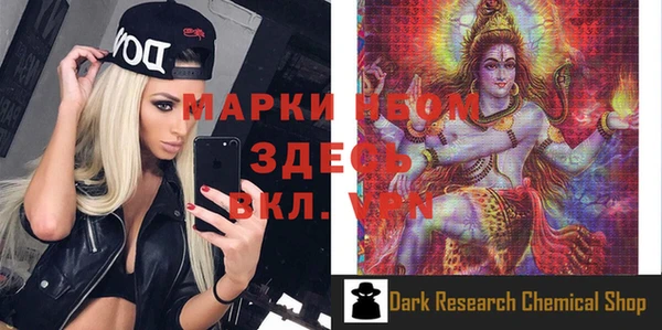 соль ск Вяземский