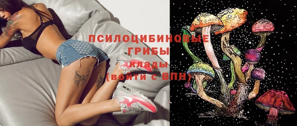 соль ск Вяземский