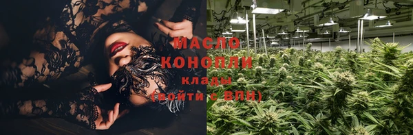 соль ск Вяземский