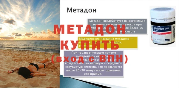 прущие грибы Вязьма