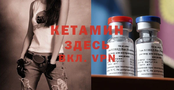 прущие грибы Вязьма