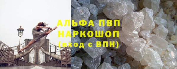прущие грибы Вязьма