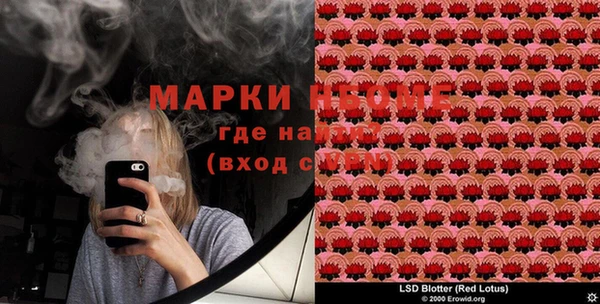 прущие грибы Вязьма