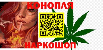 МДПВ Партизанск