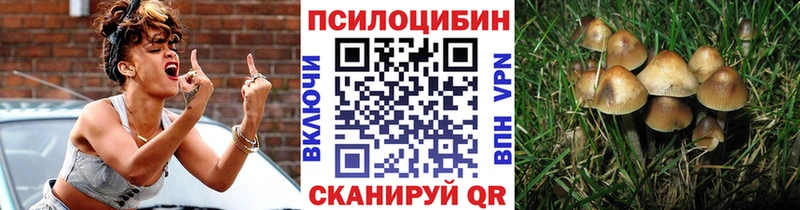 Галлюциногенные грибы GOLDEN TEACHER  хочу наркоту  Ноябрьск 