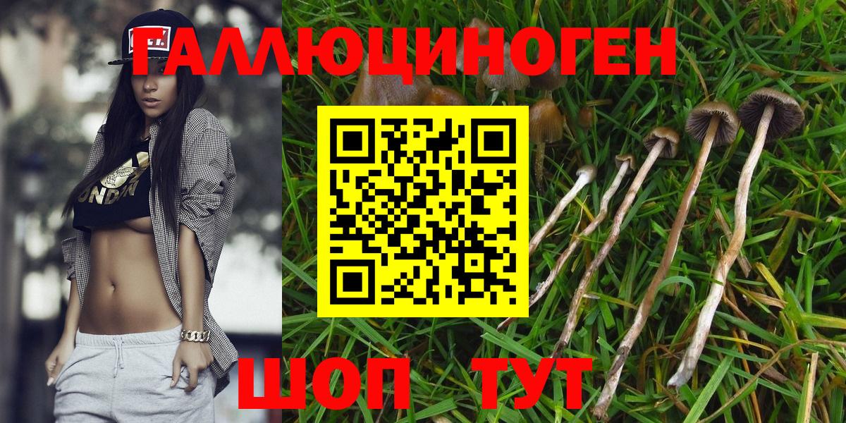как найти   Вход с VPN  Ноябрьск  Галлюциногенные грибы GOLDEN TEACHER 
