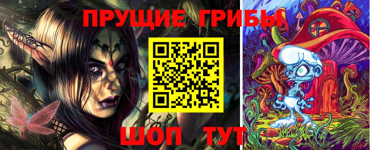 Псилоцибиновые грибы Cubensis Ноябрьск